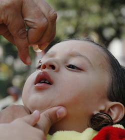 A child being given polio drops in Ludhiana on Sunday