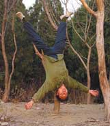 A Chinese man hangs upside-down in a tree in Beijing's Fragant Hills