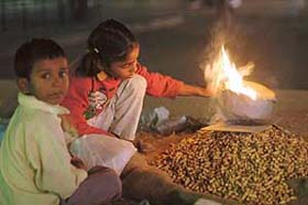 Scenes like this in Sector 17, Chandigarh, herald the onset of winter