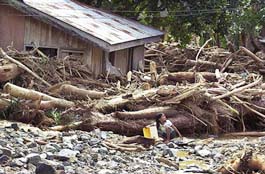 A child sits beside a house surrounded by uprooted and illegally-cut trees which were brought down from the mountains to the town of Dingalan in Aurora province