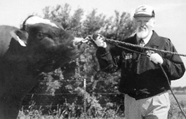 Jean Louis with a cross-bred cow in Switzerland. 