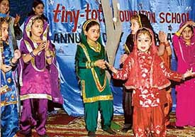 Students of Tiny Tots Foundation School, Phase X, Mohali, perform during the annual function of the school on Saturday