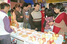 Visitors at the Jammu and Kashmir stall at the CII Agro-Tech-2004 in Sector 17, Chandigarh, on Sunday
