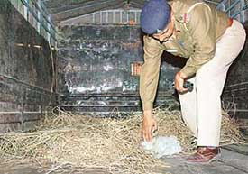 A policeman inspects the slab, suspected to have been used in the truck cleaners murder, at the Sector 36 police station in Chandigarh on Sunday