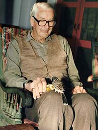 Gibson feeds a banana to a bird, a regular visitor