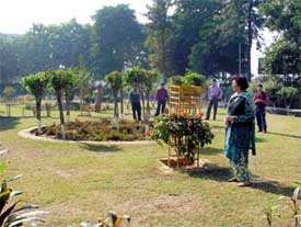 Ms Pappu Abnash Singh in the MC park being maintained by her in Ludhiana