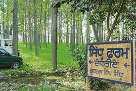 The farm which is in the thick of a controversy in Jainpur village in Ludhian, on Tuesday.