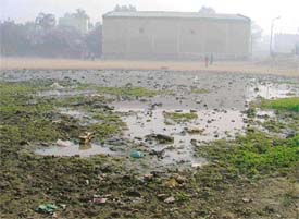 Land belonging to the Improvement Trust which is filled with water and garbage, has become a breeding ground for mosquitoes in Ludhiana