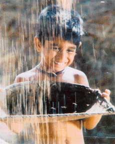 Ashwin Chitales performance in Shwaas