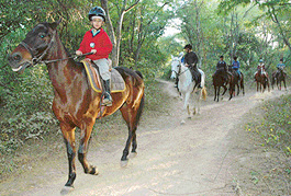 Children during the nature trail in the forest behind the Sukhna Lake in Chandigarh on Sunday.