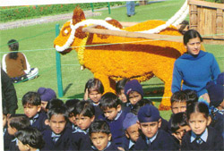 Children of Gian Jyoti Public School, Phase-2 Mohali, at the Terraced Garden, Sector 33, Chandigarh for the Chrysanthemum show on Tuesday.