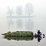 A Kashmiri man ferries vegetables on the waters of Dal Lake