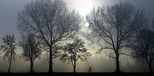 A man runs in the early morning mist near the southern German village of Olching