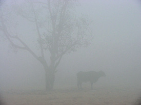 The visibility was almost zero in the wee hours on Saturday