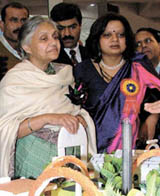 Chief Minister Sheila Dikshit at an exhibition stall at the Bhagidari Utsav