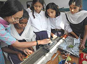 Students hone their skills in knitting. 