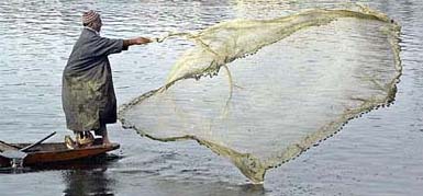 A Kashmiri man throws a net to catch fish