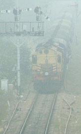 A train wading through fog in the Capital on Wednesday.