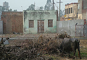 The one room memorial of famous singer Mohammad Rafi stands neglected at his native village, Kolta Sultan Singh, in Amritsar.