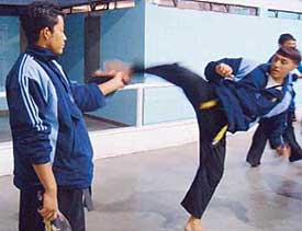 A choi kwan do demonstration being held at the Sector 10 skating rink in Chandigarh on Thursday. 