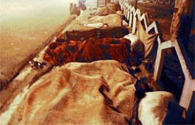 Shelterless, they sleep in the open