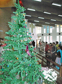 A huge Christmas tree at the Sector 19 church in Chandigarh on Saturday.