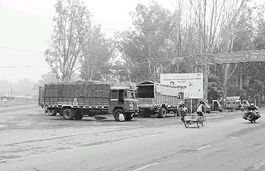 The illegal parking of trucks on the intersection of the Chandigarh-Ambala and the Panchkula-Patiala highways has virtually converted the site into a truck union.