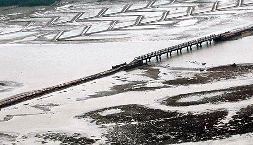 An aerial view of the coastal area of Cuddalore on Monday which was struck by devastating tsunami waves a day before on December 26.  PTI