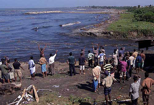 People call for help after tidal waves destroyed their homes and left them stranded in Colombo, Sri Lanka, on December 26. Massive sea waves, apparently triggered by oceanic earthquakes, crashed into coastal villages over a wide area of Sri Lanka on Sunday.  AP/PTI
