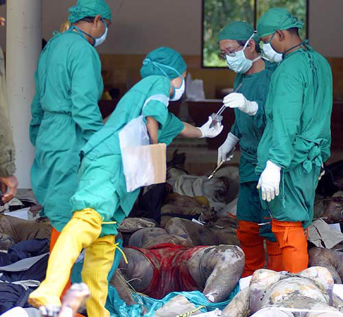 Doctors take a look at the bodies of victims of Sunday's tsunami in Phang Nga province, about 788 km south of Bangkok, on December 28.  Reuters