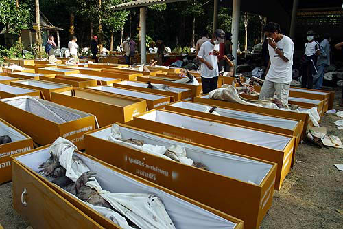 People search for their relatives among the bodies of the victims of Sunday's tsunami in Phang Nga province, about 788 km south of Bangkok, on December 28.  Reuters