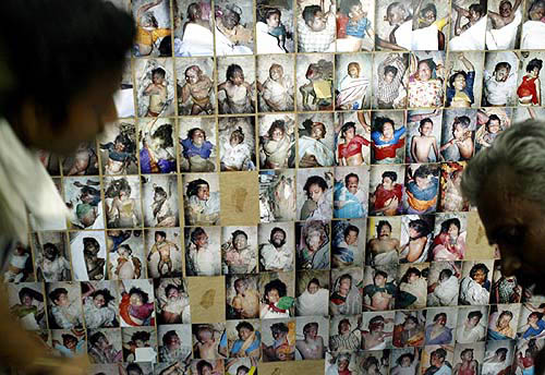 Survivors look at the pictures displayed on a board identifying their relatives killed by a tsunami hit on Sunday, at Velankani beach outskirts of Nagapattinam, 350 km south of the southern Indian city of Chennai.  Reuters