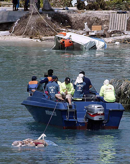 Rescue personnel drag bodies of tsunami victims floating in a bay in Thailand's Phi Phi island on December 28.  Reuters