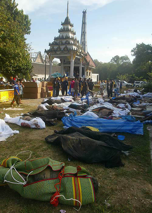 People search for their relatives among the bodies of the victims of Sunday's tsunami at a temple in Phang Nga province, about 788 km south of Bangkok, on December 28.  Reuters