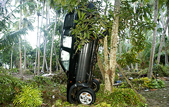 An upturned vehicle stands vertical against a tree in Unawatuna