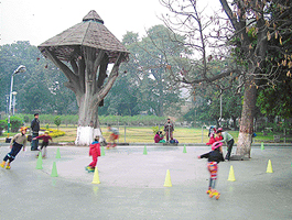 Children skating near a dead tree in Ram Bagh.