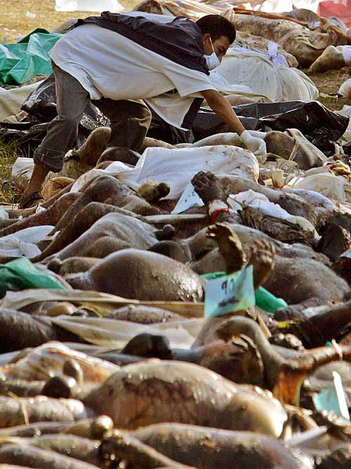 Thai men try to identify family members among hundreds of bodies in front of a temple in Thaplamu, nearly 100 km north of the Thai resort island of Phuket on December 29. Stricken countries on the Indian Ocean worked swiftly on Wednesday to bury thousands of bodies, as experts warned disease could kill as many people as the 68,000 already dead from the violent crush of Sunday's tsunami.  Reuters
