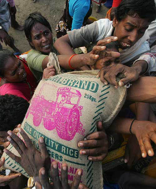 Indian survivors of Sunday's tsunami struggle to get hold of rice bags donated by voluntary organisations in Cuddalore, about 180 km south of Chennai on December 29. Reeking corpses rotted in the tropical sun from India to Indonesia on Wednesday and many who escaped death from one of the worst tsunamis in history fought for survival against thirst and disease.  Reuters