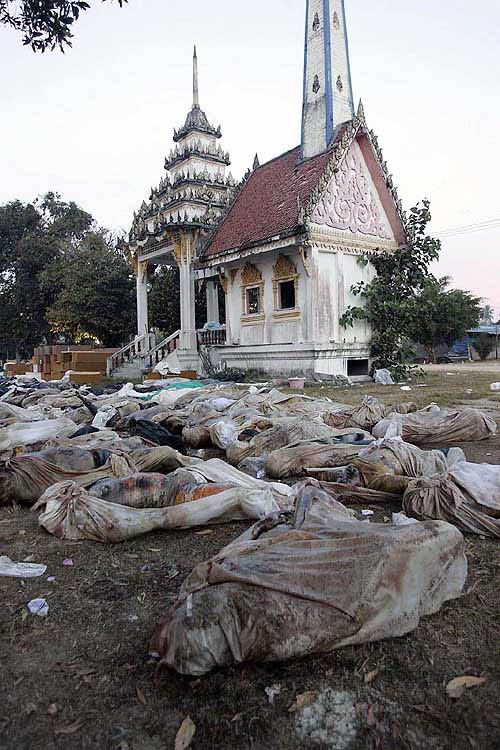 Bodies of western tourists and others killed by a massive tsunami collect at a temple north of Phuket, Thailand, on December 29.  AP/PTI