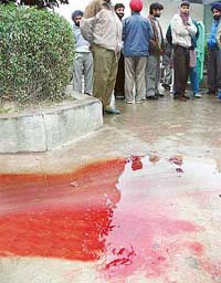 A view of the place where alleged robber Rajwinder Singh was shot at the bank guard near Shahi Majra village in Mohali