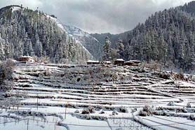 The Janjehli valley in the interior of Mandi district in HImachal Pradesh covered with snow on Saturday.