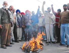 Employees of the PSEB burn an effigy of the state government in Ludhiana 
