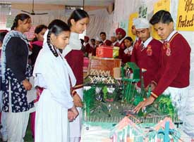 Science models displayed in the school