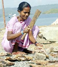 A fisherwoman, who survived the tsunami, chops fish at Jungly Ghat in Port Blair, on Tuesday.
