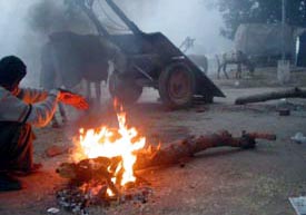 A horse cart owner in Sector 7, Chandigarh, tries to keep himself warm in front of a log fire on Wednesday