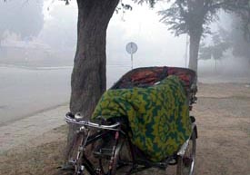 A rickshawpuller covers himself with a blanket to keep warm