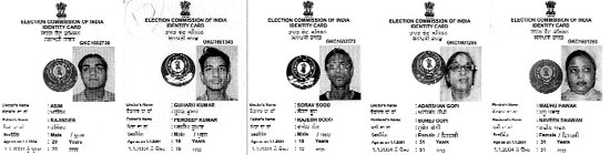 Copies of some voter identity cards which carry wrong particulars of residents of the Civil Lines area in Ludhiana