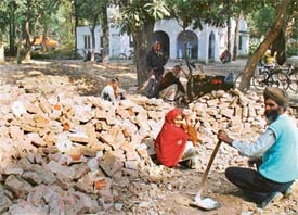 These old structures in Sector 19 are being demolished to make way for new houses