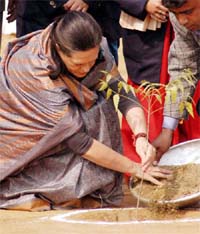 AICC President Sonia Gandhi plants a sapling after laying the foundation stone of a school on the concluding day of her two-day visit to her constituency Rae Bareli on Tuesday. 