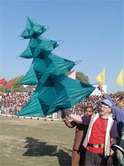 A foreigner takes part in a kite competition at D. Nagarvala Police Stadium in Ahmedabad on Tuesday. 
